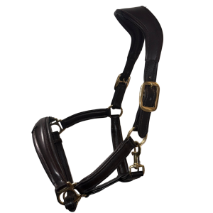 Padded Anatomical Leather Head Collar